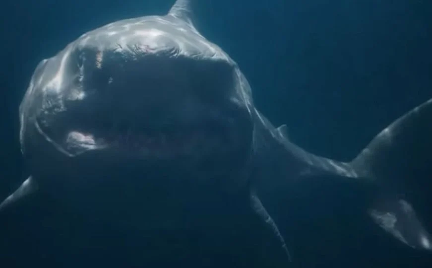 (VIDEO) MEGALODON U AKCIJI Simulacija prikazuje kako bi izgledao napad ove morske nemani