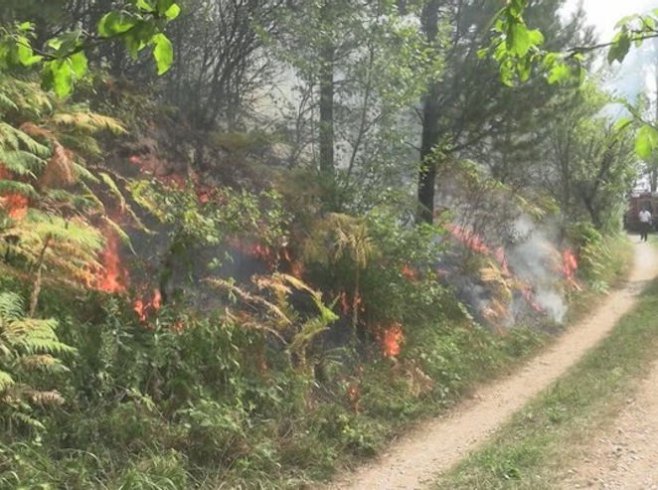 HAOS U NACIONALNOM PARKU "DRINA" Vatra sve bliža domaćinstvima u selu Luka