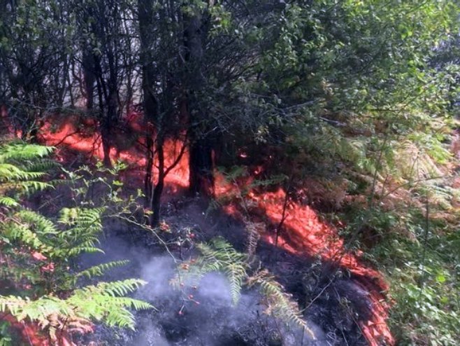 SITUACIJA IZMIČE KONTROLI, UGROŽENA DOMAĆINSTVA Požar u NP "Drina" gasi helikopter MUP-a Srbije, vatra buknula i na području Rudog