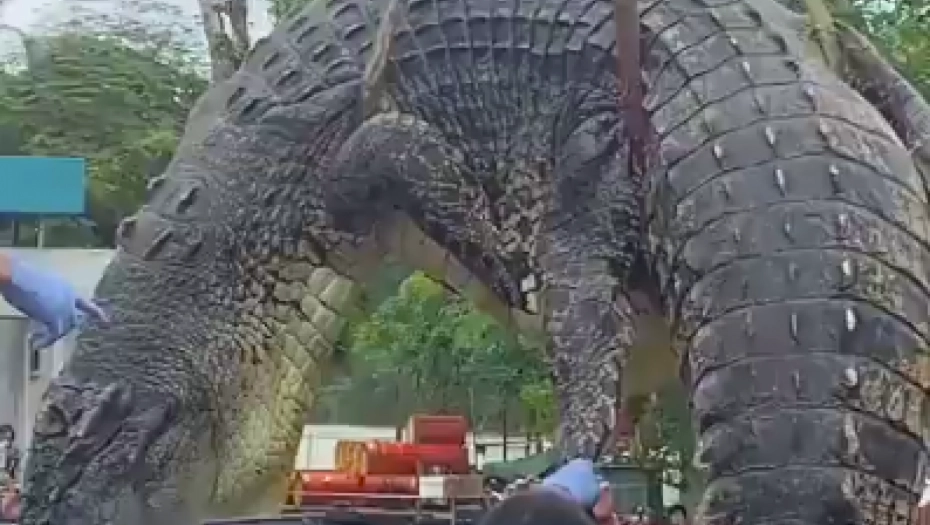 (VIDEO) PORODICA BILA SVJEDOK DOGAĐAJA Krokodil progutao šestogodišnju djevojčicu: Nakon obdukcije životinje pronašli ovu strahotu!