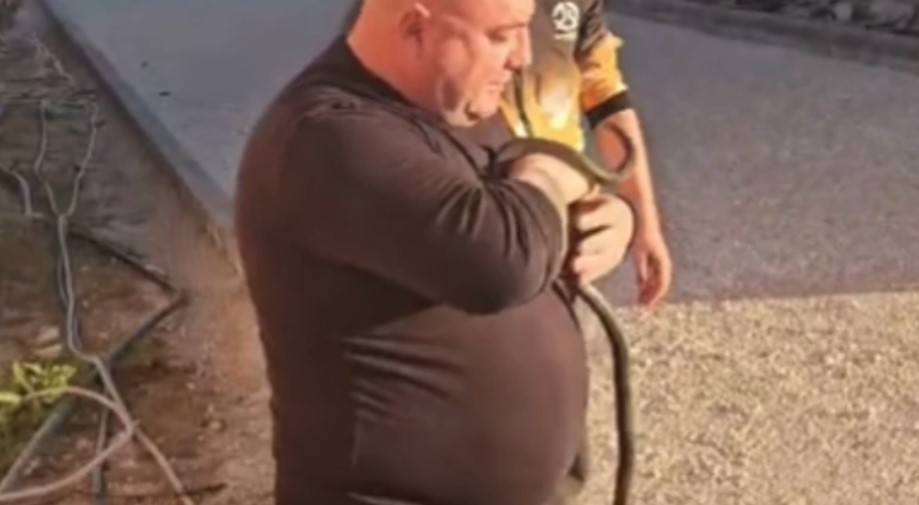 (VIDEO) JEZIV PRIZOR Hvatač zmija iz česme izvukao zvijer od dva metra