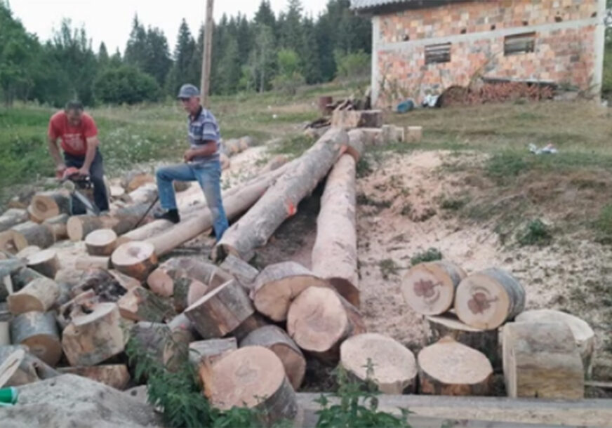 (FOTO) PRIZOR OSTAVIO SVE U ČUDU! Jasan simbol ukazao se na trupcu: Mještani se krstili, nisu vjerovali šta vide