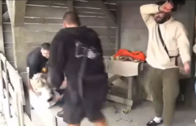 (VIDEO) DRAMA NA FARMI Učesnica pala u nesvijest: Kristijan Golubović joj prvi pritekao u pomoć
