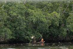 Pri prevrtanju čamca u Nigeriji 25 osoba poginulo, 14 nestalo 