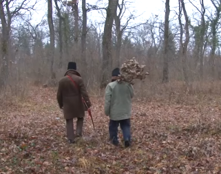 Šta uraditi sa starim Badnjakom: Teolog objašnjava da li ga treba spaliti ili okačiti na drvo