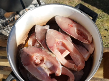 Badnji dan u Temerinu: Riblja čorba spojila Mađare i Srbe