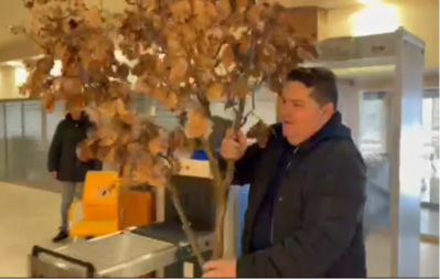 Badnji dan: Stevandić unio badnjak u Narodnu skupštinu Republike Srpske (VIDEO)