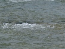 Većina rijeka u stagnaciji ili opadanju