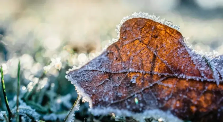 Evo kakvo nas vrijeme očekuje sutra