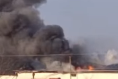 Gori fabrika kiselog kupusa u Srbiji, požar se širi velikom brzinom (VIDEO)