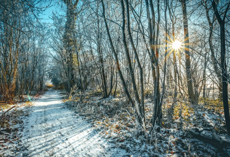 Prognoza za 19. januar: Evo kakvo nas vrijeme danas očekuje 