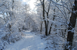 Poznati meteorolog objavio prognozu do kraja januara