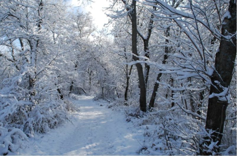 Poznati meteorolog objavio prognozu do kraja januara