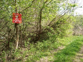 Deminiranje sve izvjesnije u Gradišci: Za uklanjanje mina pet miliona eura