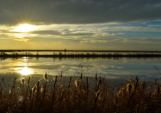 Tri sedmice agonije završavaju ovog vikenda: Meteorolozi otkrili kada zima popušta (FOTO)