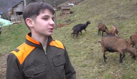 Mali heroj iz Priboja: Svakog dana prelazi 30 kilometara da bi pomogao baki i čuvao koze