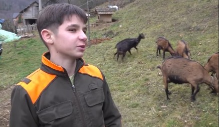 Mali heroj iz Priboja: Svakog dana prelazi 30 kilometara da bi pomogao baki i čuvao koze