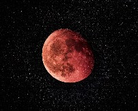 Nakon januara slijedi finansijski uspjeh za ova dva znaka