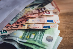 Najveća isplaćena plata prošle godine skoro 300.000 evra