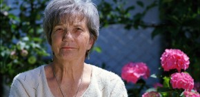 Procijenjena šteta od pljačke Luvra