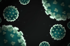 Zbog virusa iz Indije uvode se vanredne mjere na granicama