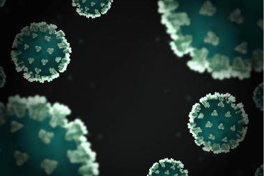 Zbog virusa iz Indije uvode se vanredne mjere na granicama