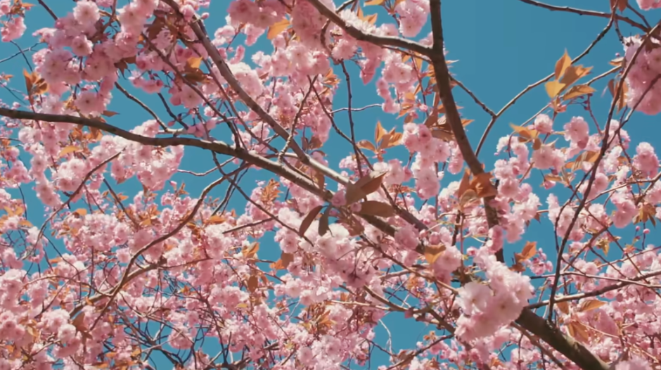 Republički hidrometeorološki zavod Srbije objavio prognozu do jula