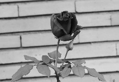 Preminuo istaknuti privrednik iz Istočnog Sarajeva