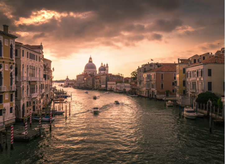 Stručnjaci upozoravaju: Ova meduza može uništiti morski lanac ishrane (FOTO)