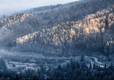 Detaljna prognoza za februar: Stiže još jedan hladni talas, evo kada ga možete očekivati