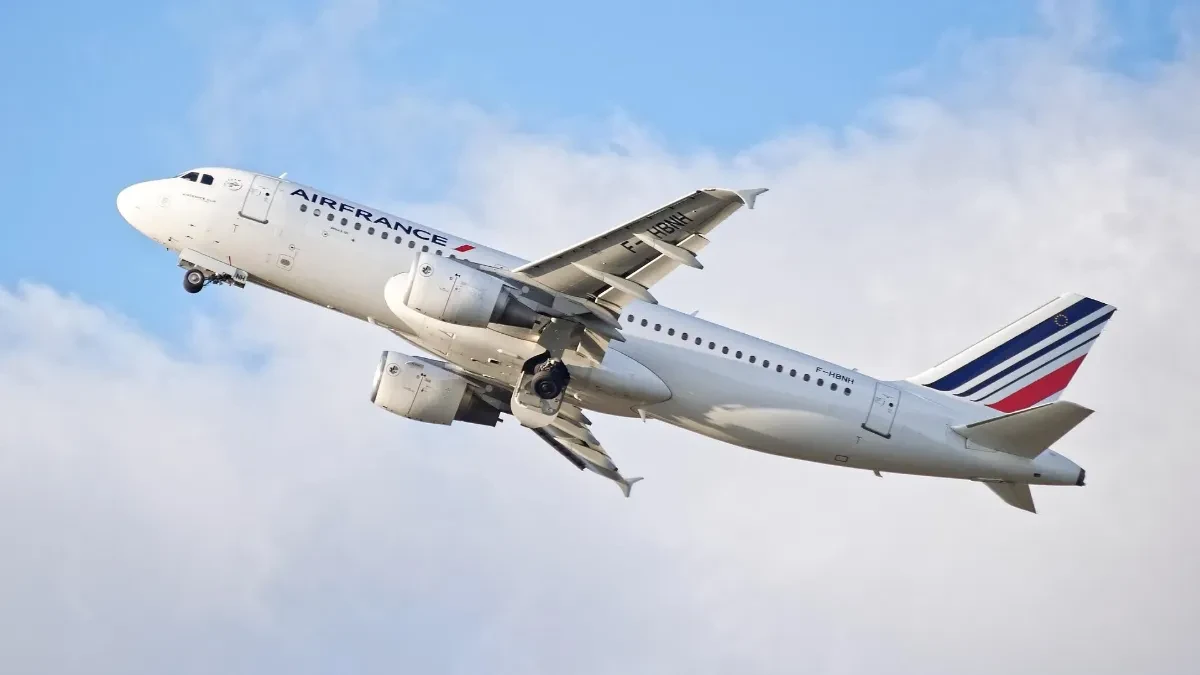 Neprijatno iznenađenje za putnike: U avionu pronađene stenice, avio-kompanija hitno otkazala let