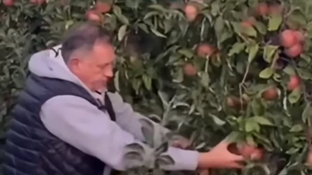 Dodik se pohvalio rodom jabuka: Kada navodnjavate, pobijedite sušu (VIDEO)