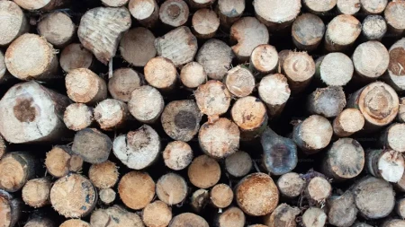 Kako pravilno čuvati drva i pelet: Jedna greška može smanjiti njihovu toplotnu moć
