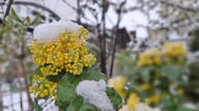 Stiže nagli preokret i hladni talas sa sjeveroistoka: Meteorolog otkrio kada nam stiže prvi snijeg i drastičan pad temperature