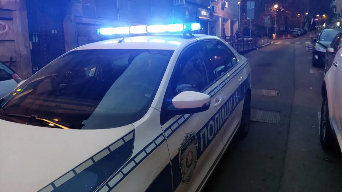 Provalnici starici ukrali 130.000 evra i nakit, pa odnijeli i psa