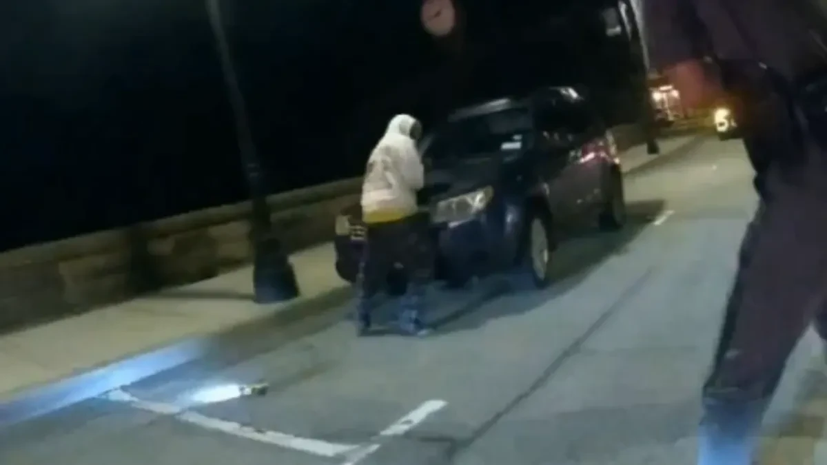 Tinejdžer odustao od skoka sa mosta: Policija otvorila vatru na njega (VIDEO)