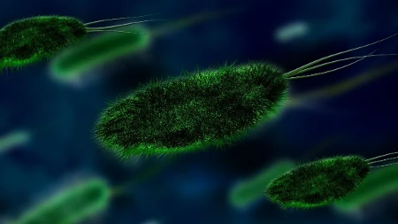 Epidemija kuge prijeti: Umrla 28-godišnja laborantkinja, pod nadzorom 200 ljudi – slučaj prati i Amerika