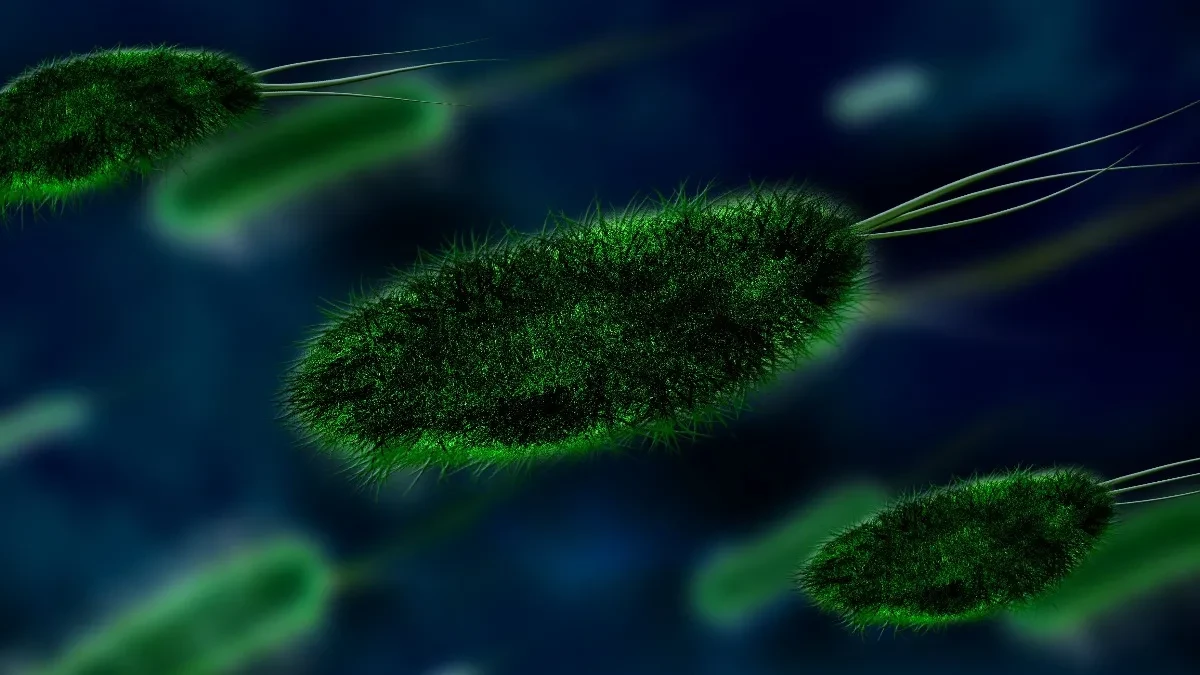Epidemija kuge prijeti: Umrla 28-godišnja laborantkinja, pod nadzorom 200 ljudi – slučaj prati i Amerika