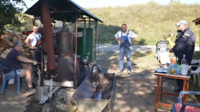 Stižu sjajne vijesti za voćare, ali i ljubitelje kapljice: Šljiva zatrpala voćnjake, evo po kojoj cijeni će se prodavati rakija