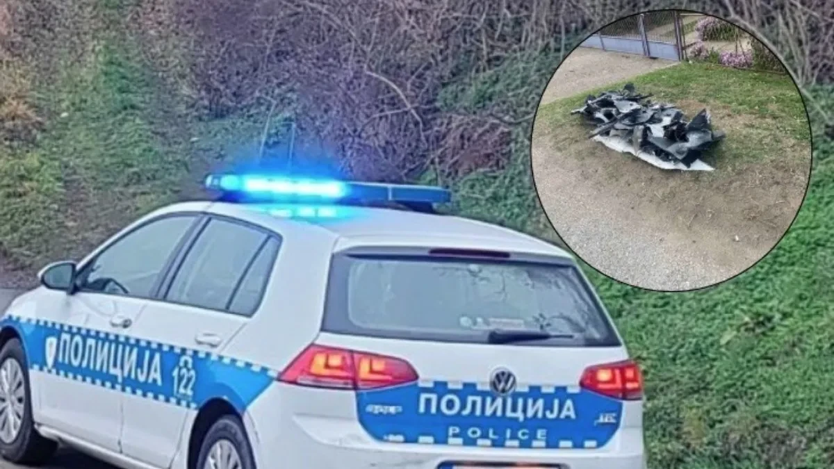 Udes kod Srpca: Kamion pun pilića se sudario sa automobilom (FOTO)
