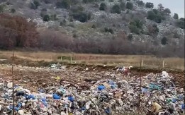 Ekološka katastrofa u BiH: Građani pozivaju na hitnu reakciju