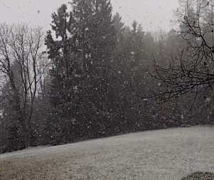 Zima se ne predaje: Snijeg zabijelio na Kozari (VIDEO)