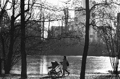 Demografska slika Srpske: Sve manje beba i brakova, sve više umrlih 