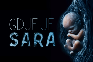 Do kraja februara tužbe protiv Srpske zbog nestanka beba u Banjaluci