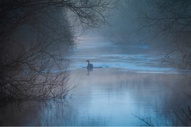 Snažan prelazni period: Kraj zime donosi sudbinski preokret za 5 znakova