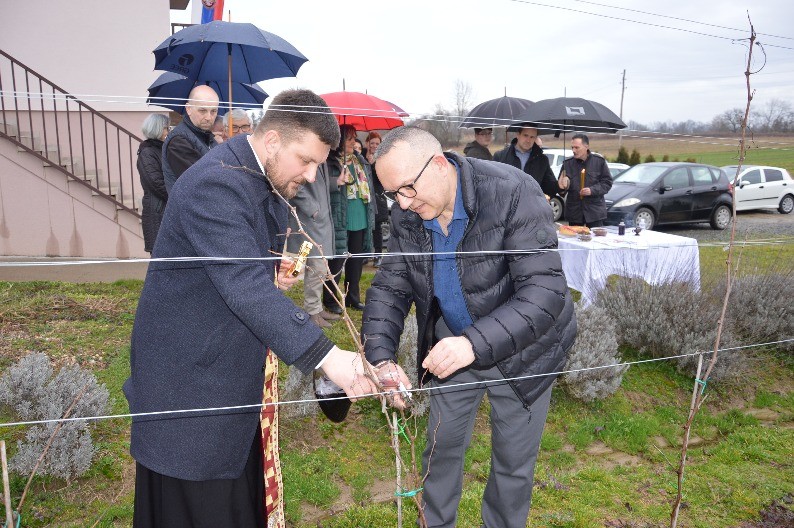 Trifundan u Gradišci: Osvještan vinograd Miroslava Šipke u Bistrici (FOTO)