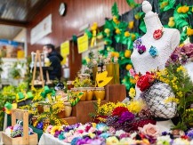 Otvoren 57. "Praznik mimoze" u Herceg Novom