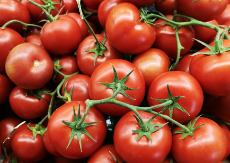 Kupujete paradajz zimi? Jedan detalj na deklaraciji otkriva kakvog je kvaliteta