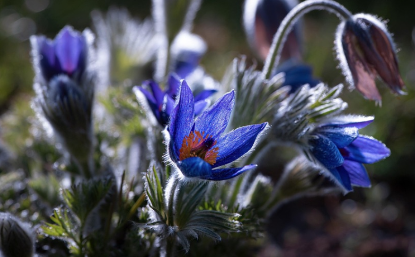 Meteorolozi nakon snijega najavili promjenu