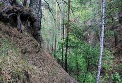 Dron otkrio nestalog muškarca u Nici: Preživio pad sa visine od 50 metara 